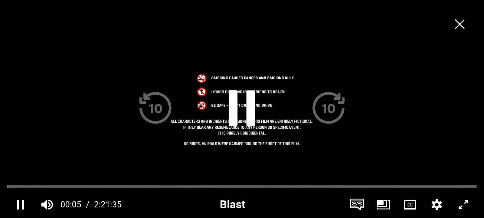 NetMirror Interface